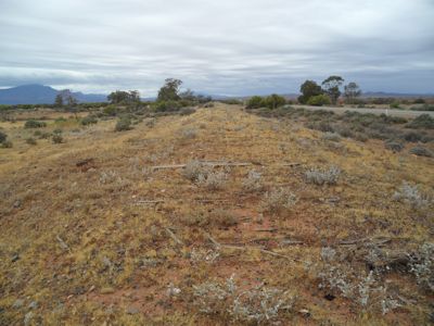 The Old Railway Bed