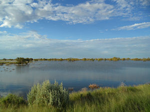 Lake at Little Topar