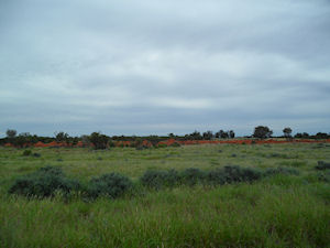 Green land