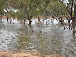 Road side water