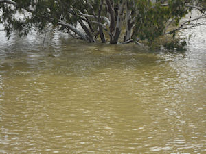 Talywalka Creek
