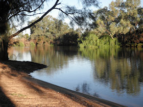 nogan River, Nyngan