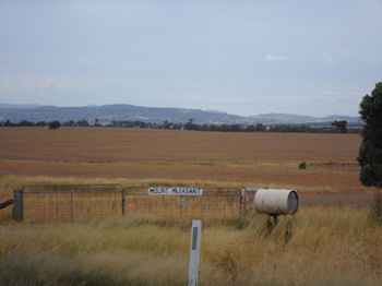 The basic farm letter box is the recycled oil drum, preferably 12 gallon. 44 is overdoing it, five is a bit small.
