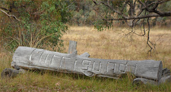 The Log.