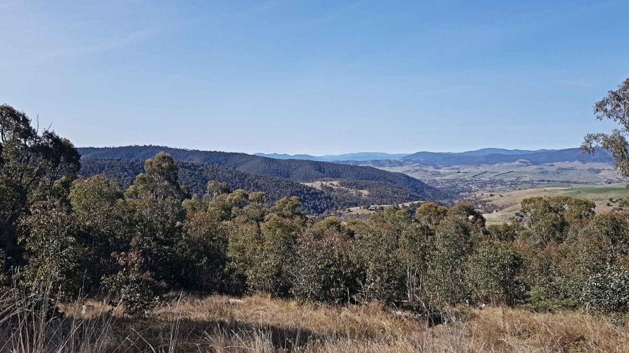 Omeo and Mt Kosciuszko