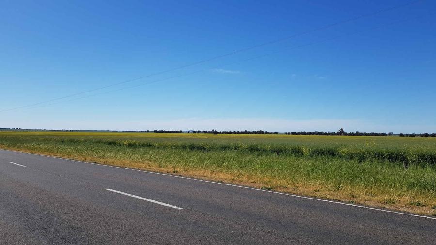 Flat Wimmera Landscape, crops