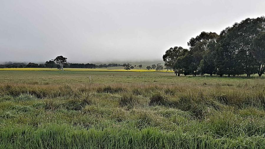 Mountain shrouded by fog