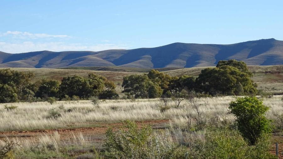 Looking to Yanyarrie near Carieton