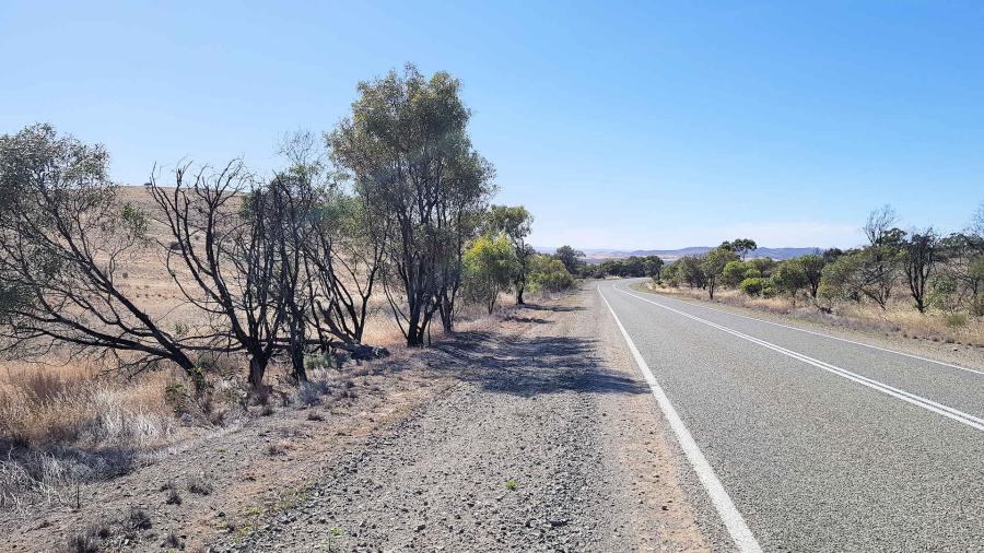 Road to Orroroo