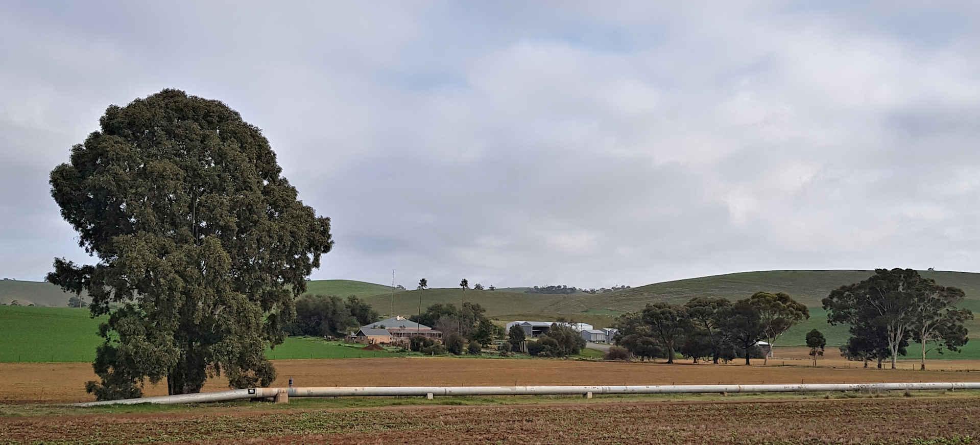 Farmhouse near Washpool