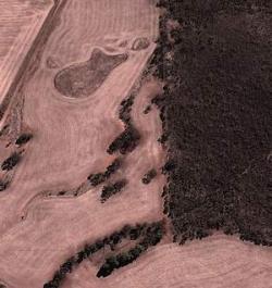 Aerial photo of paddocks showing rocky soil