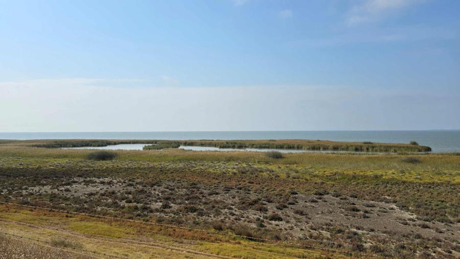 Lake Alexandrina