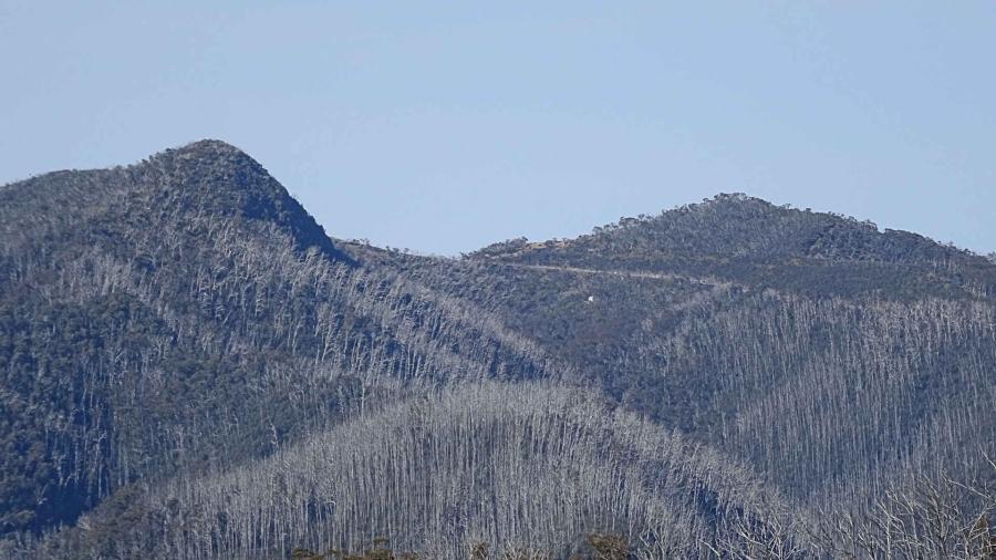 Mt Hotham climb showing fire damage