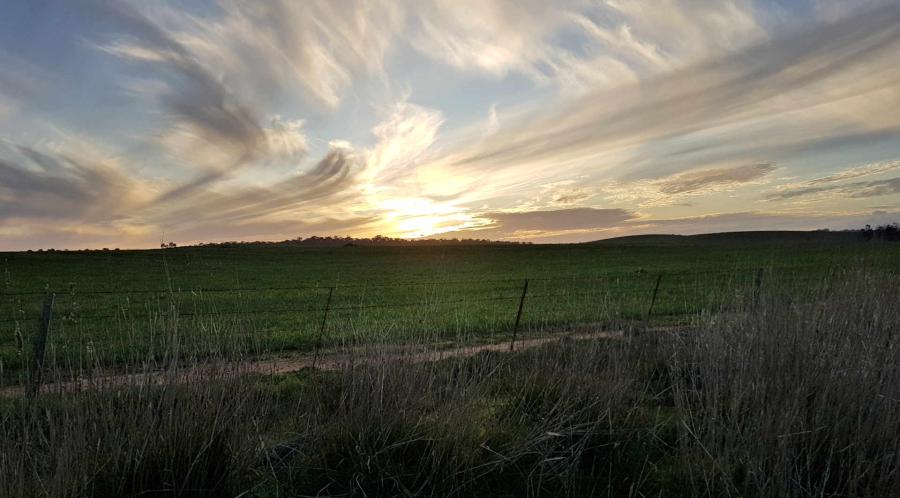 SunsetOverBungaree