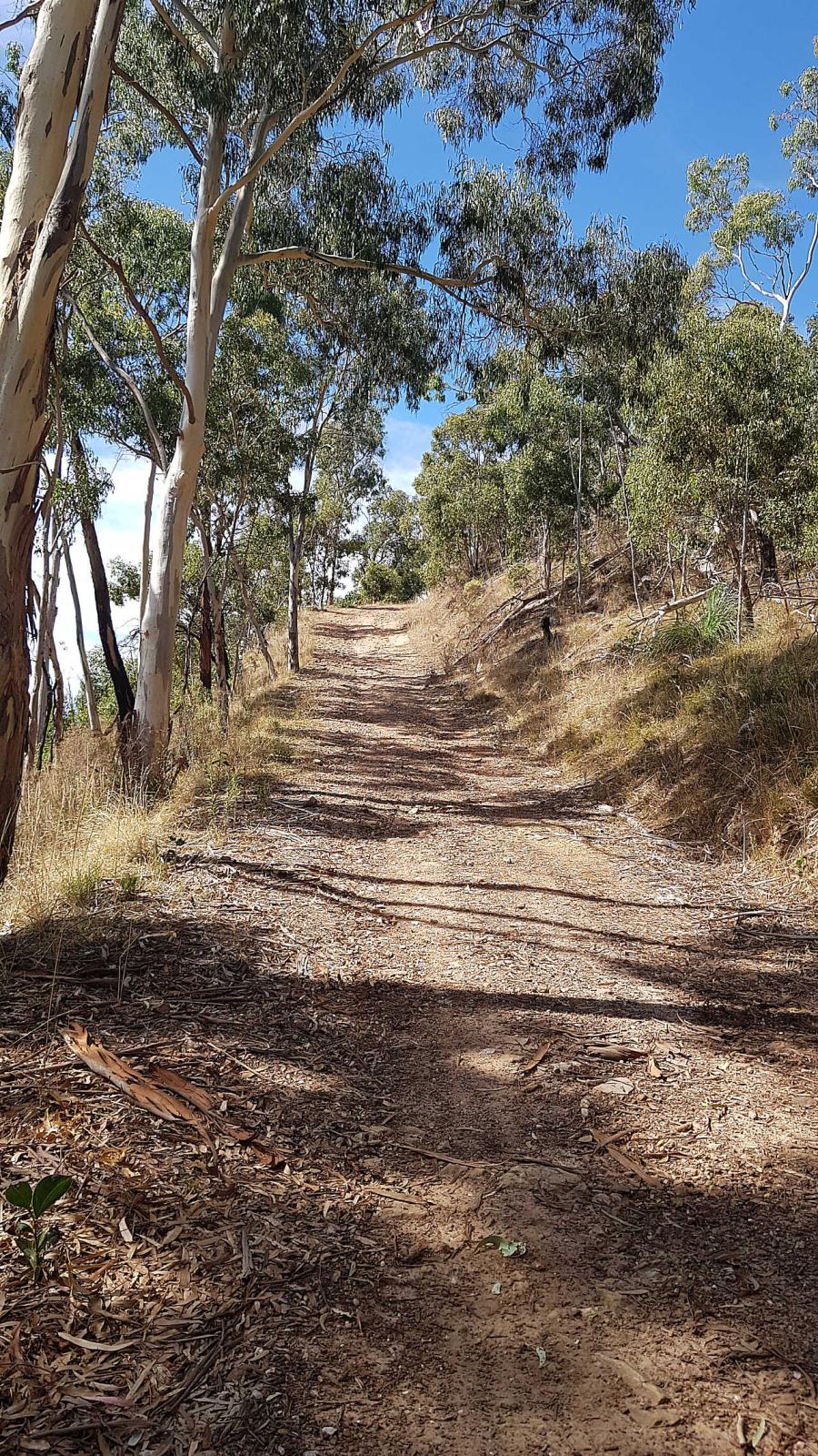 Steep Climb