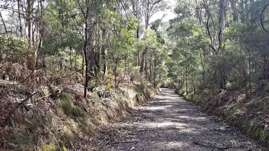 High Country Rail Trail, no surface treatment