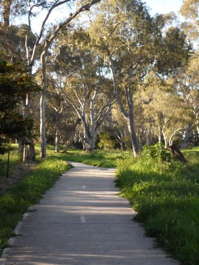 Bike Path, Golden Grove