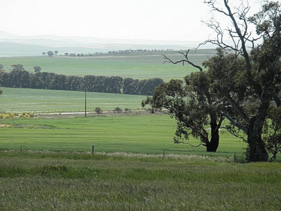 Farm View