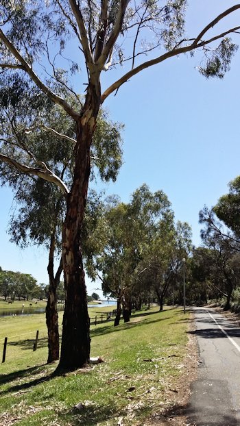 tdu2018linearpark1