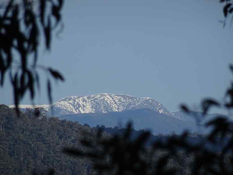 09-mtbuller