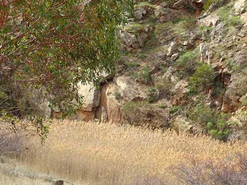 Brady Creek "Stone Man"