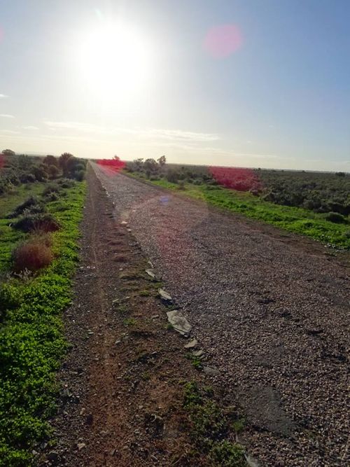 The old road to Stirling North