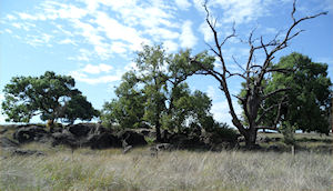 Molong, Many  Rocks