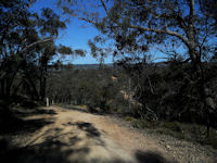 Kersbrook Forest Road